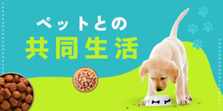 ていねいなくらし